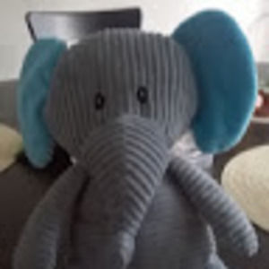 Meet your Posher, Pin-fang